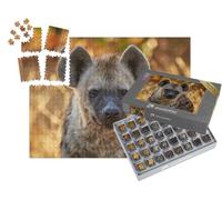 puzzleYOU : Smart Sorted® | Puzzle Photo 1000 pièces « Jeune hyène dans la lumière du Soir »