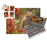 puzzleYOU : Smart Sorted® | Puzzle Photo 1000 pièces « Jeune Renard Curieux »