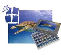 puzzleYOU : Smart Sorted® | Puzzle Photo 1000 pièces « Jeune Tortue Hawksbill en Train de Nager, Bahamas »