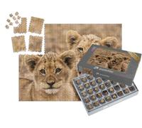 puzzleYOU : Smart Sorted® | Puzzle Photo 1000 pièces « Jeunes Lions »