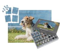 puzzleYOU : Smart Sorted® | Puzzle Photo 1000 pièces « Joyeux Fox-Terrier »