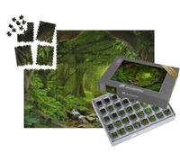 puzzleYOU : Smart Sorted® | Puzzle Photo 1000 pièces « Jungle Tropicale Profonde avec rivière en Asie du Sud-Est »