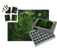 puzzleYOU : Smart Sorted® | Puzzle Photo 1000 pièces « Jungles Tropicales d'Asie du Sud-Est en août »