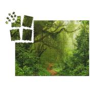 puzzleYOU : Smart Sorted® | Puzzle Photo 1000 pièces « Jungles Tropicales Profondes, Asie du Sud-Est »