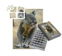 puzzleYOU : Smart Sorted® | Puzzle Photo 1000 pièces « Koala, Assis sur Le Sol, Queensland, Australie »