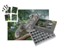 puzzleYOU : Smart Sorted® | Puzzle Photo 1000 pièces « Koala Femelle avec Son Petit »
