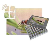 puzzleYOU : Smart Sorted® | Puzzle Photo 1000 pièces « La Fourmi Marche dans l'herbe et s'accroche aux brins d'herbe »