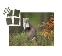 puzzleYOU : Smart Sorted® | Puzzle Photo 1000 pièces « La martre d'europe dans Son Habitat Naturel »