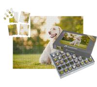 puzzleYOU : Smart Sorted® | Puzzle Photo 1000 pièces « Labrador Retriever attentif »
