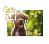 puzzleYOU : Smart Sorted® | Puzzle Photo 1000 pièces « Labrador Retriever Chiot au Soleil »