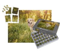 puzzleYOU : Smart Sorted® | Puzzle Photo 1000 pièces « Labrador Retriever dans Une Prairie »