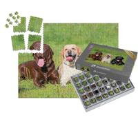 puzzleYOU : Smart Sorted® | Puzzle Photo 1000 pièces « Labrador Retriever Noir, Marron Clair et Marron dans Un pré »