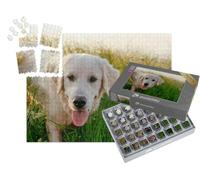 puzzleYOU : Smart Sorted® | Puzzle Photo 1000 pièces « Labrador Retriever se promenant dans Une Prairie »