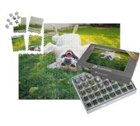 puzzleYOU : Smart Sorted® | Puzzle Photo 1000 pièces « Labrador Retriever tête en Bas sur Le Dos »