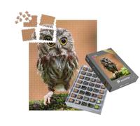 puzzleYOU : Smart Sorted® | Puzzle Photo 1000 pièces « L'adorable bébé Hibou »