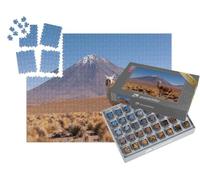 puzzleYOU : Smart Sorted® | Puzzle Photo 1000 pièces « Lama, derrière Lui Le Volcan Licancabur à la frontière Entre la Bolivie et Le Chili »