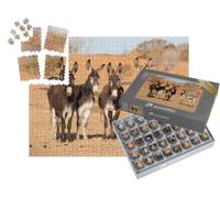 puzzleYOU : Smart Sorted® | Puzzle Photo 1000 pièces « L'âne dans l'outback Australien »