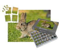 puzzleYOU : Smart Sorted® | Puzzle Photo 1000 pièces « Lapin, lièvre »
