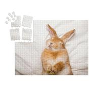 puzzleYOU : Smart Sorted® | Puzzle Photo 1000 pièces « Lapin rêveur dans Son Sommeil Confortable »