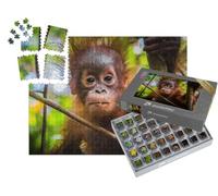 puzzleYOU : Smart Sorted® | Puzzle Photo 1000 pièces « Le bébé Orang-outan Le Plus Mignon du Monde Regarde la caméra à Bornéo »