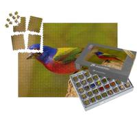 puzzleYOU : Smart Sorted® | Puzzle Photo 1000 pièces « Le bruant des roseaux, Le Plus bel Oiseau Chanteur d'Amérique »