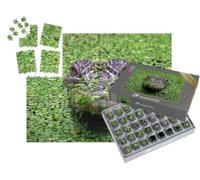 puzzleYOU : Smart Sorted® | Puzzle Photo 1000 pièces « Le Crocodile d'eau salée, Crocodylus porosus »