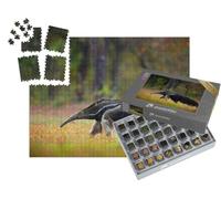 puzzleYOU : Smart Sorted® | Puzzle Photo 1000 pièces « Le Fourmilier, Un Animal du Brésil »