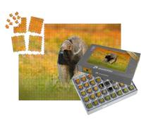 puzzleYOU : Smart Sorted® | Puzzle Photo 1000 pièces « Le Fourmilier, Un Animal du Brésil »