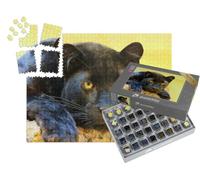 puzzleYOU : Smart Sorted® | Puzzle Photo 1000 pièces « Le léopard, également appelé panthère Noire »