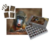 puzzleYOU : Smart Sorted® | Puzzle Photo 1000 pièces « Le Mandrill : Un Singe d'Afrique Centrale »
