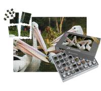 puzzleYOU : Smart Sorted® | Puzzle Photo 1000 pièces « Le pélican Blanc »