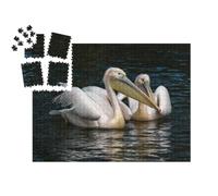puzzleYOU : Smart Sorted® | Puzzle Photo 1000 pièces « Le pélican Blanc, également connu sous Le nom de pélican Rose »