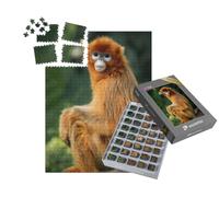 puzzleYOU : Smart Sorted® | Puzzle Photo 1000 pièces « Le Portrait du Singe au Nez retroussé »
