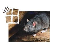 puzzleYOU : Smart Sorted® | Puzzle Photo 1000 pièces « Le Rat Noir, également connu sous Le nom de Rat de Bateau ou Rat Domestique »