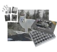 puzzleYOU : Smart Sorted® | Puzzle Photo 1000 pièces « Le Renard Arctique, Vulpes Lagopus, en Fourrure Blanche d'hiver »