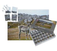 puzzleYOU : Smart Sorted® | Puzzle Photo 1000 pièces « Le Renne dans Son Habitat Naturel »