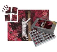 puzzleYOU : Smart Sorted® | Puzzle Photo 1000 pièces « Le Tigre Blanc »