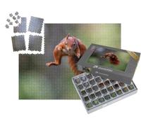 puzzleYOU : Smart Sorted® | Puzzle Photo 1000 pièces « L'écureuil Rouge bondit à Travers la forêt »