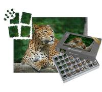 puzzleYOU : Smart Sorted® | Puzzle Photo 1000 pièces « Léopard dans Le Parc National de Yala, Sri Lanka »