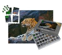 puzzleYOU : Smart Sorted® | Puzzle Photo 1000 pièces « Léopard Indien, Panthera pardus Fusca, Ranthambhore Tiger Reserve, Rajasthan »