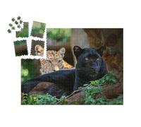 puzzleYOU : Smart Sorted® | Puzzle Photo 1000 pièces « Léopard ou panthère »