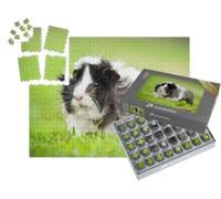 puzzleYOU : Smart Sorted® | Puzzle Photo 1000 pièces « Les cochons d'Inde en Plein air »