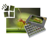 puzzleYOU : Smart Sorted® | Puzzle Photo 1000 pièces « Les Fourmis Rouges cherchent de la Nourriture sur Les Branches Vertes »