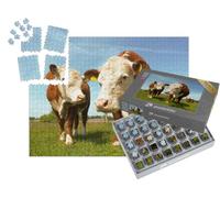 puzzleYOU : Smart Sorted® | Puzzle Photo 1000 pièces « Les Vaches Hereford à la Campagne »