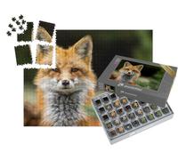 puzzleYOU : Smart Sorted® | Puzzle Photo 1000 pièces « Les Yeux dans Les Yeux avec Un Renard Roux »