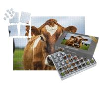 puzzleYOU : Smart Sorted® | Puzzle Photo 1000 pièces « Les Yeux dans Les Yeux avec Une Vache tachetée de Brun »