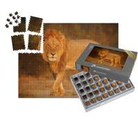 puzzleYOU : Smart Sorted® | Puzzle Photo 1000 pièces « Lion mâle dans Le Soleil couchant Africain »