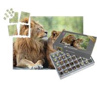 puzzleYOU : Smart Sorted® | Puzzle Photo 1000 pièces « Lion mâle et Lion Femelle »