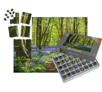 puzzleYOU : Smart Sorted® | Puzzle Photo 1000 pièces « Lumière du Soleil dans Une forêt de clochettes Bleues avec des Fleurs Violettes d'un Bleu Profond »