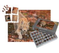 puzzleYOU : Smart Sorted® | Puzzle Photo 1000 pièces « Lynx en Chasse dans la forêt d'automne »